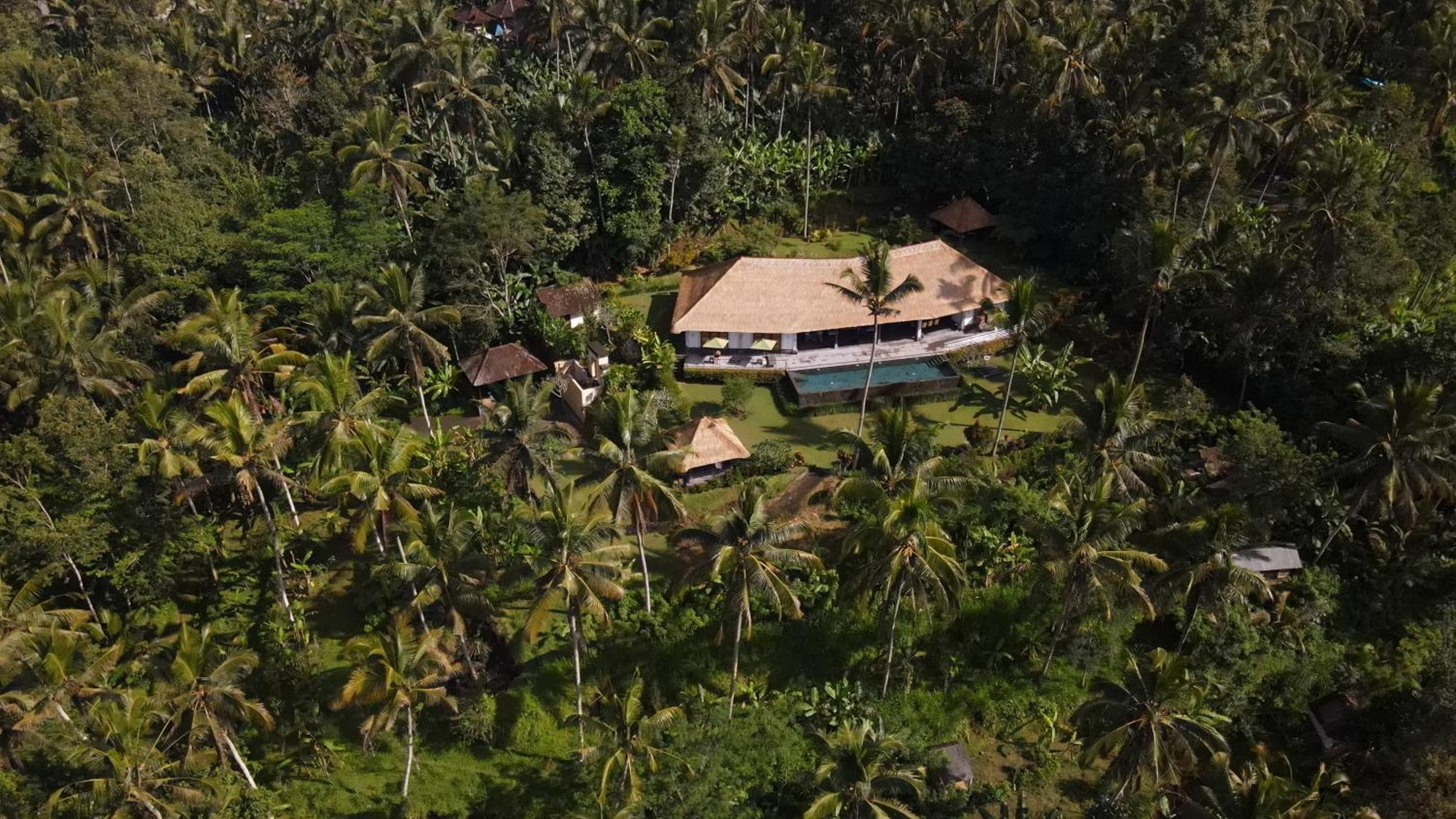 Villa Themma Jungle - Sumptuous 3Br Luxury Villa With Majestic Jungle View North Of Ubud 외부 사진