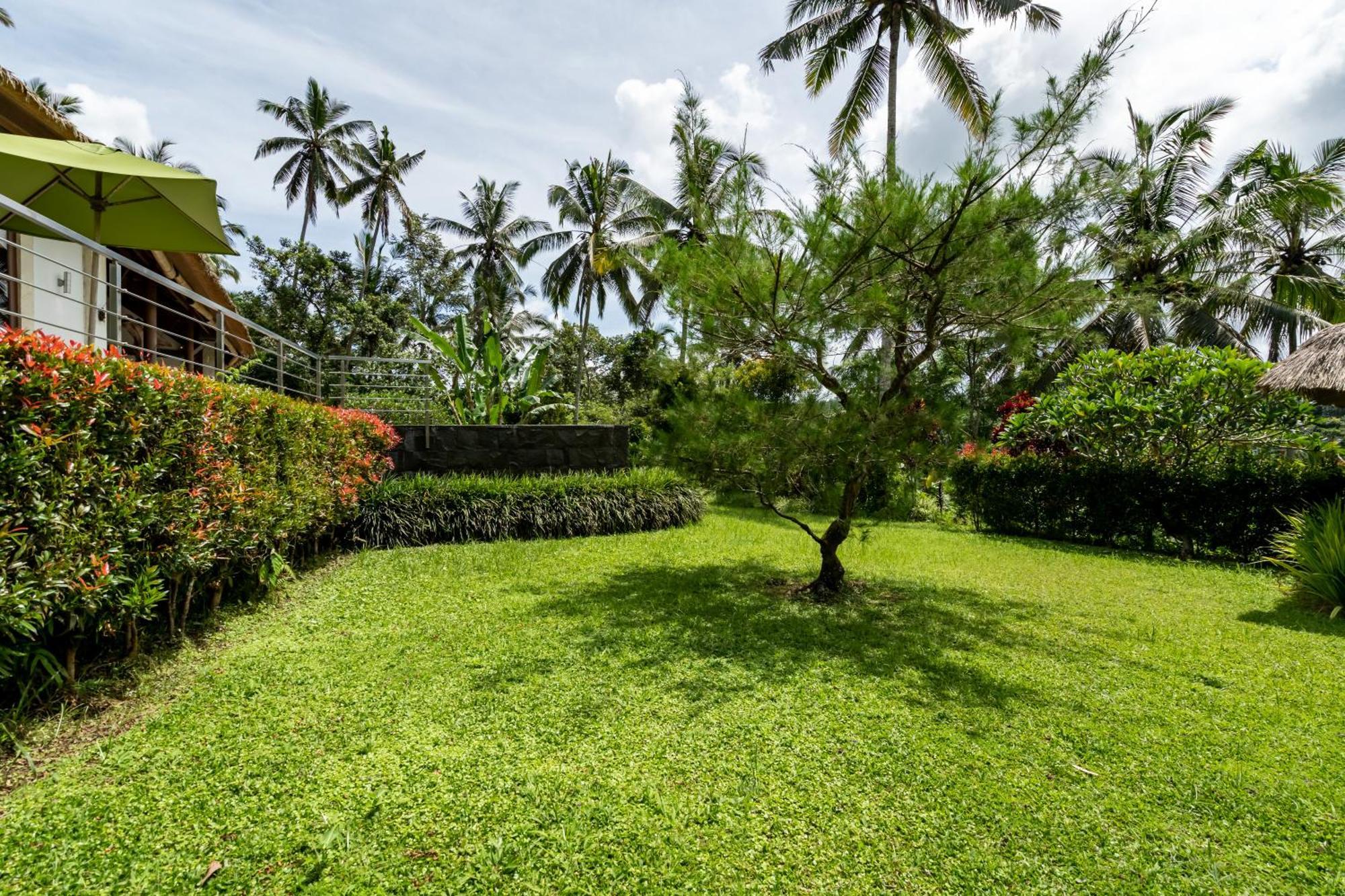 Villa Themma Jungle - Sumptuous 3Br Luxury Villa With Majestic Jungle View North Of Ubud 외부 사진