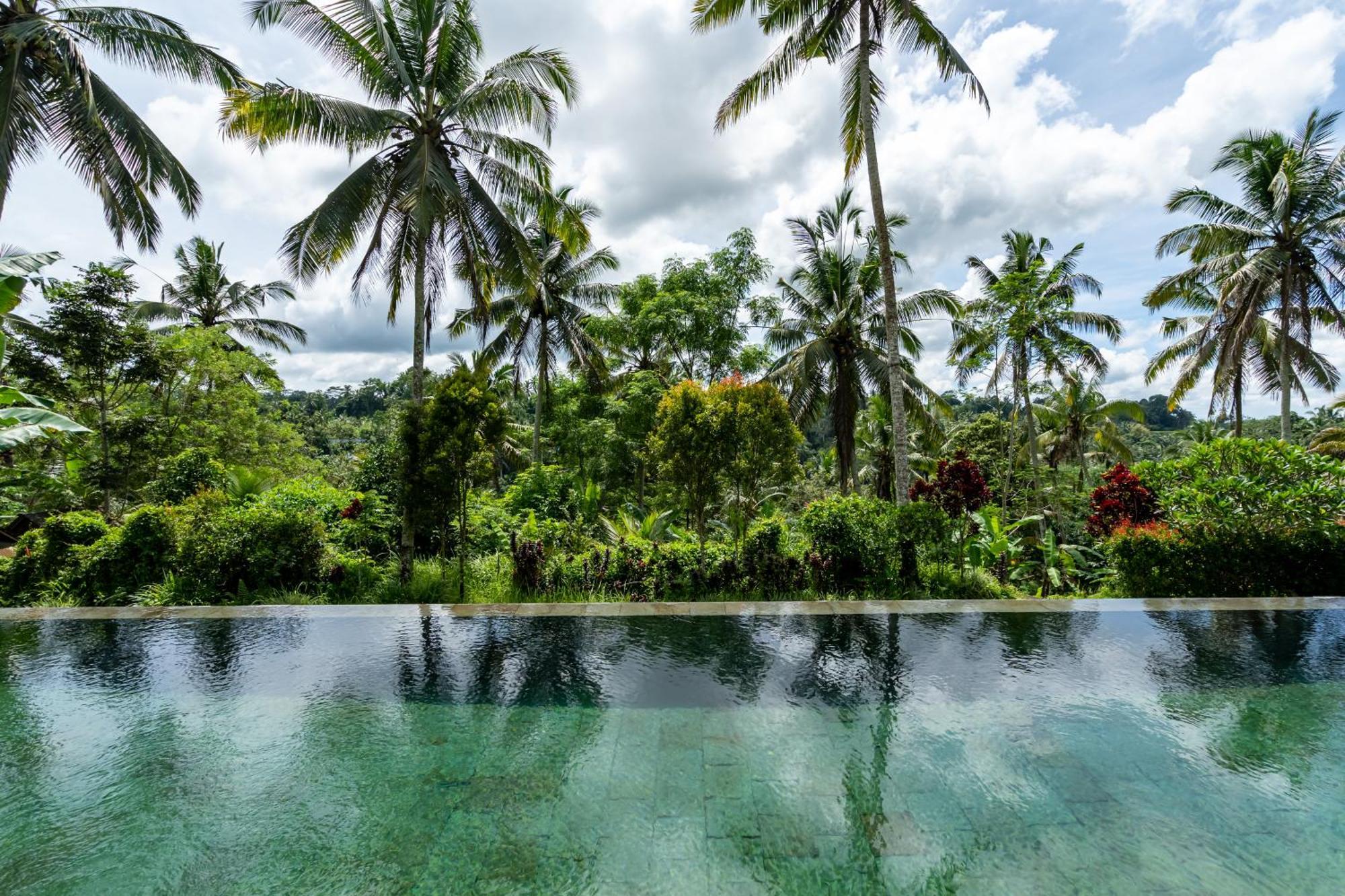Villa Themma Jungle - Sumptuous 3Br Luxury Villa With Majestic Jungle View North Of Ubud 외부 사진