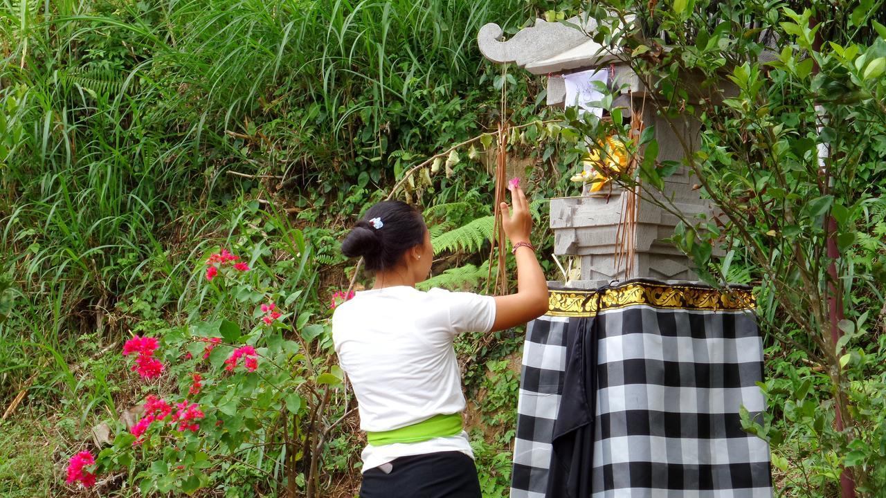 Villa Themma Jungle - Sumptuous 3Br Luxury Villa With Majestic Jungle View North Of Ubud 외부 사진